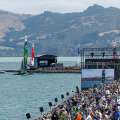 Dolphins Cause Delay For NZ Sail Grand Prix