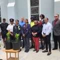 ‘Peace Trees’ Honour Bermuda Crisis Resolvers