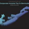 Corporate Income Tax Public Agency Information