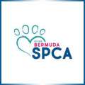 SPCA Urges Pet Owners To Ensure Pet Safety