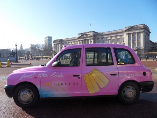 london-bermuda pink-taxis