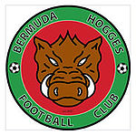 Bermuda hogges football