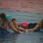 2010 cup match waterslide (5)