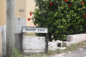 secret lane bermuda