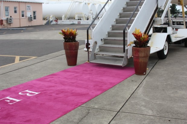 bermuda airpost pink carpet