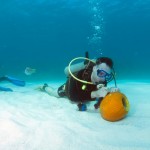 bermuda underwater halloween 2010 (11)