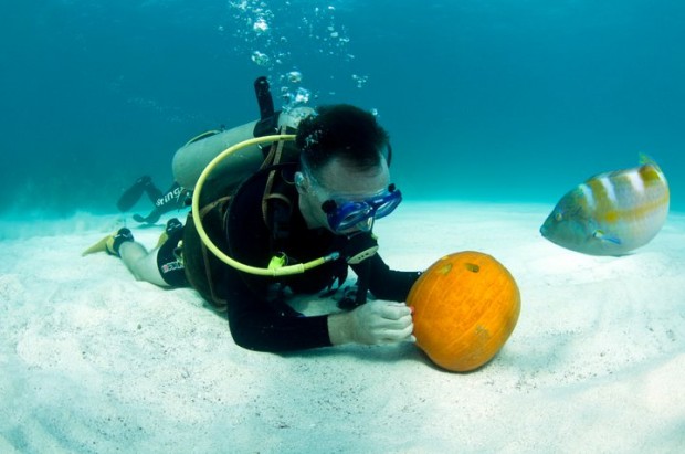 bermuda underwater halloween 2010 (7)