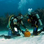 bermuda underwater halloween 2010 (9)