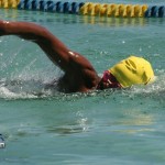 trunk island swim 2010 (1)