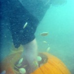 underwater pumpkin carving bios 2010 (1)