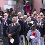 Remembrance Day-1-14