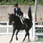 bda equestrian nov 2010 (12)