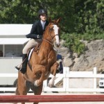 bda equestrian nov 2010 (17)