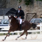 bda equestrian nov 2010 (3)
