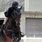 bda equestrian nov 2010 (4)