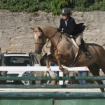 bda equestrian nov 2010 (9)