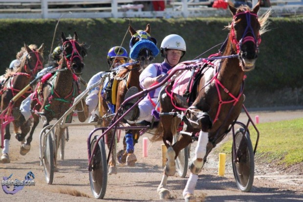 bermuda harness pony racing dec 26 2010 (1)