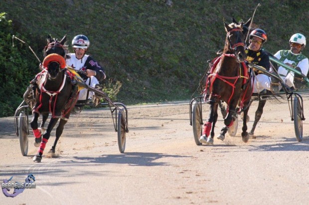 bermuda harness pony racing dec 26 2010 (2)