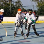 Bermuda Inline Hockey Jan 8th 2011-7