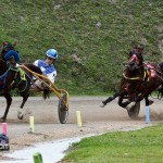 Harness Pony Racing Bermuda Jan 23rd 2011-1-11