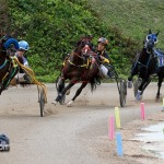 Harness Pony Racing Bermuda Jan 23rd 2011-1-12