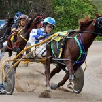 Harness Pony Racing Bermuda Jan 23rd 2011-1-13