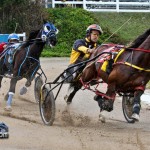 Harness Pony Racing Bermuda Jan 23rd 2011-1-14