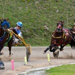 Harness Pony Racing Bermuda Jan 23rd 2011-1-16