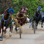Harness Pony Racing Bermuda Jan 23rd 2011-1-17