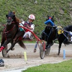 Harness Pony Racing Bermuda Jan 23rd 2011-1-5