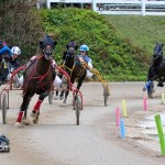 Harness Pony Racing Bermuda Jan 23rd 2011-1