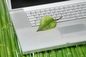 green computer leaf