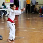 Martial Arts Bermuda Feb 20th 2011-1