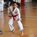 Martial Arts Bermuda Feb 20th 2011-1-3