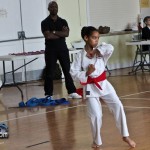 Martial Arts Bermuda Feb 20th 2011-1-4