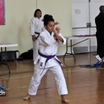 Martial Arts Bermuda Feb 20th 2011-1-5