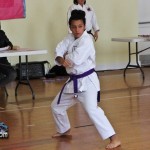Martial Arts Bermuda Feb 20th 2011-1-7