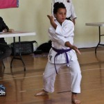 Martial Arts Bermuda Feb 20th 2011-1-8