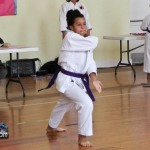 Martial Arts Bermuda Feb 20th 2011-1-9