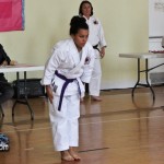 Martial Arts Bermuda Feb 20th 2011-10