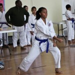 Martial Arts Bermuda Feb 20th 2011-11