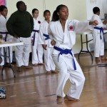 Martial Arts Bermuda Feb 20th 2011-12