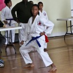 Martial Arts Bermuda Feb 20th 2011-13