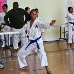 Martial Arts Bermuda Feb 20th 2011-14