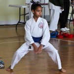 Martial Arts Bermuda Feb 20th 2011-15