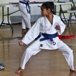 Martial-Arts-Bermuda-Feb-20th-2011-16