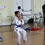 Martial Arts Bermuda Feb 20th 2011-17