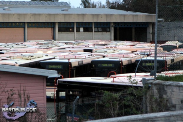 bus buses depot filled