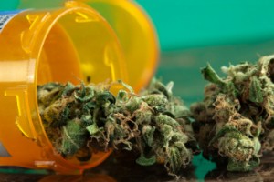 medical weed cannabis
