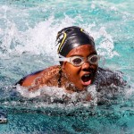 BASA Swimming Bermuda Mar 5th 2011-1
